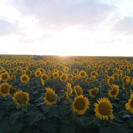 度假居 La Pommeraie Nantillé