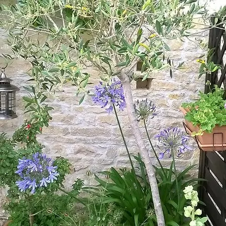 La Pommeraie * Nantillé